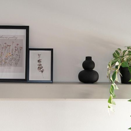 Ixia Home 外观 照片